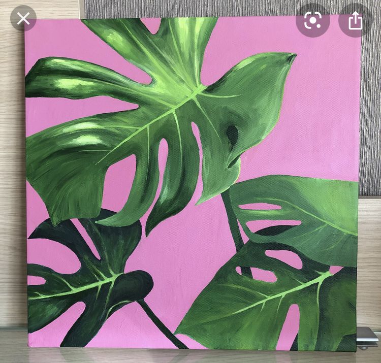 Monstera bei der bissigen Paula