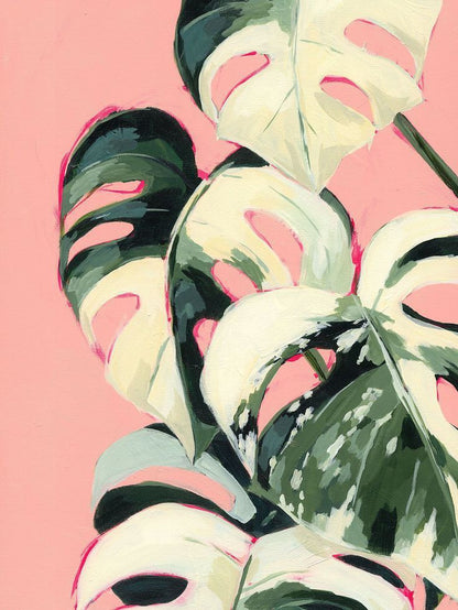 Monstera bei der bissigen Paula