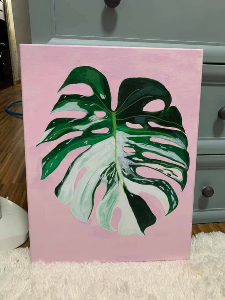 Monstera bei der bissigen Paula