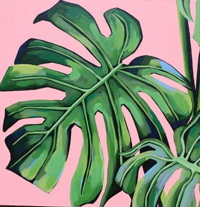 Monstera bei der bissigen Paula